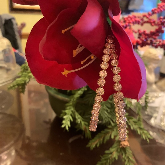 Rhinestone Hoop Earrings - Picture 3 of 4